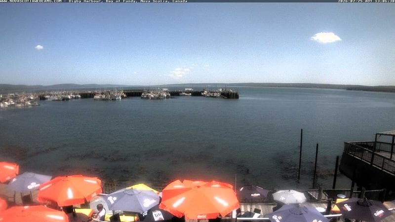Digby Harbour