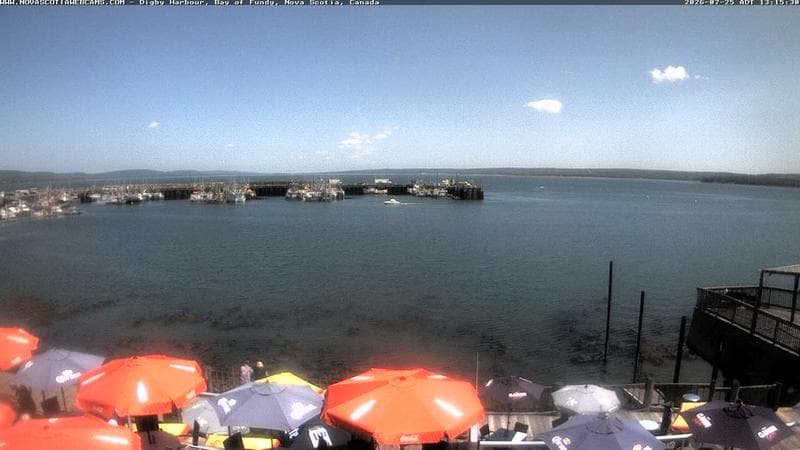 Digby Harbour