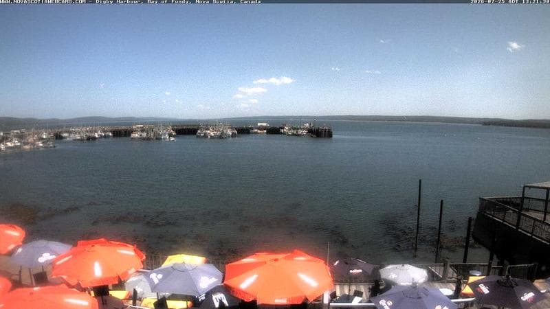 Digby Harbour