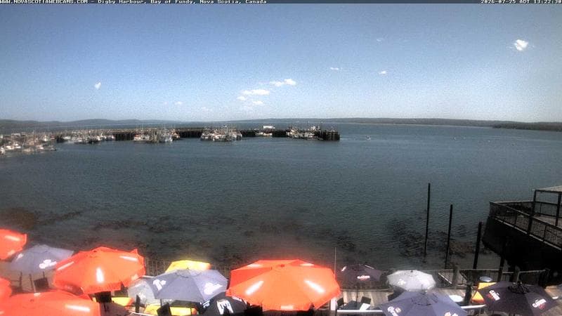 Digby Harbour