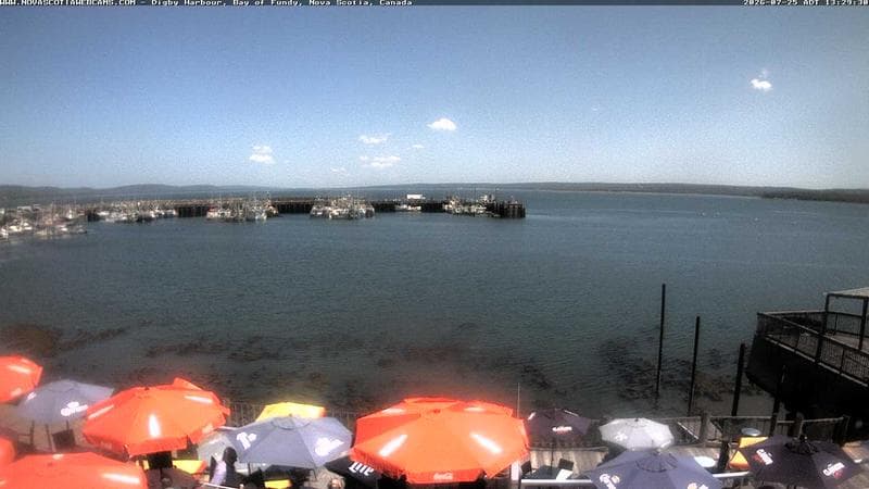 Digby Harbour
