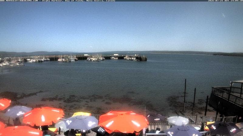 Digby Harbour