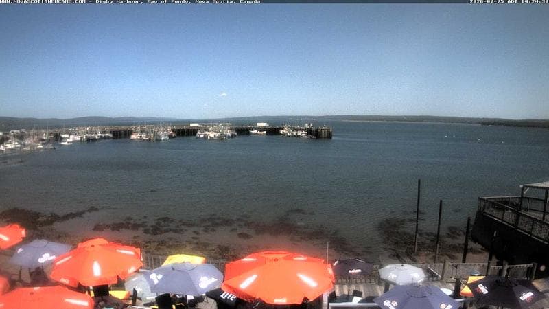 Digby Harbour