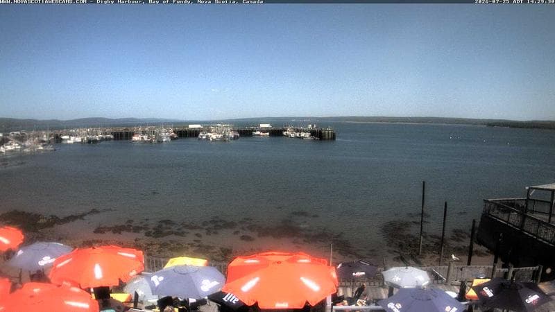 Digby Harbour