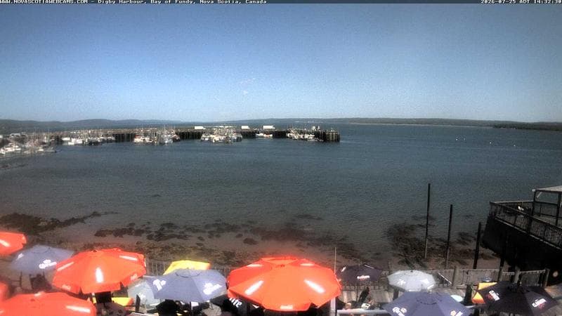 Digby Harbour