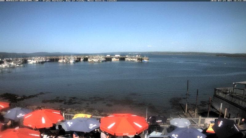 Digby Harbour