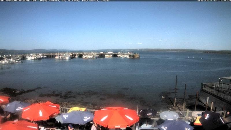 Digby Harbour