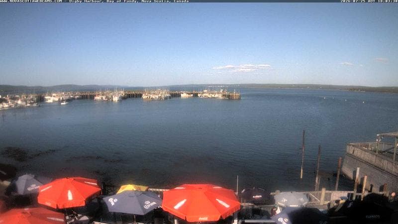 Digby Harbour