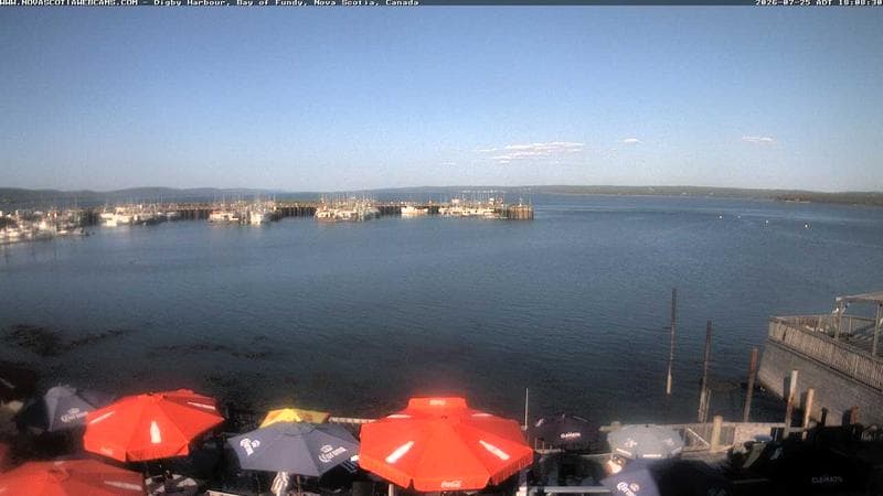 Digby Harbour