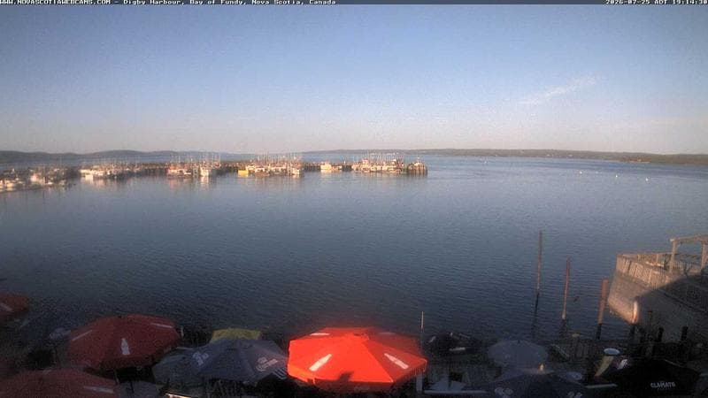 Digby Harbour