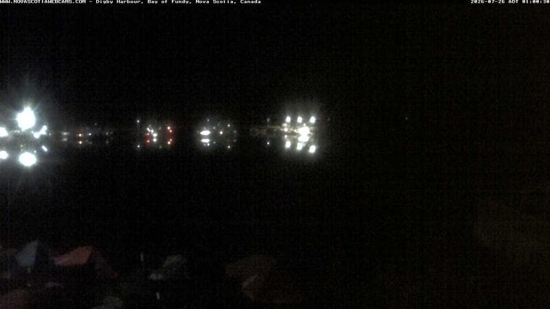 Digby Harbour