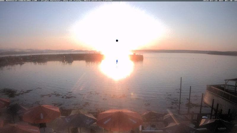Digby Harbour