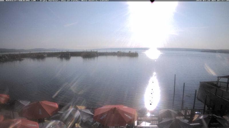 Digby Harbour