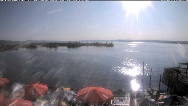 Digby Harbour
