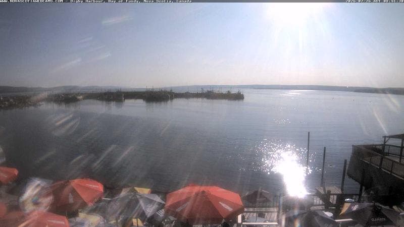 Digby Harbour