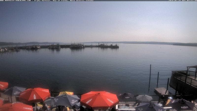 Digby Harbour