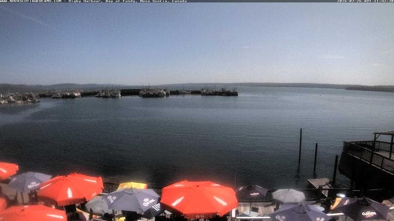 Digby Harbour