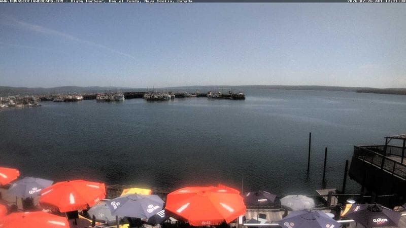 Digby Harbour