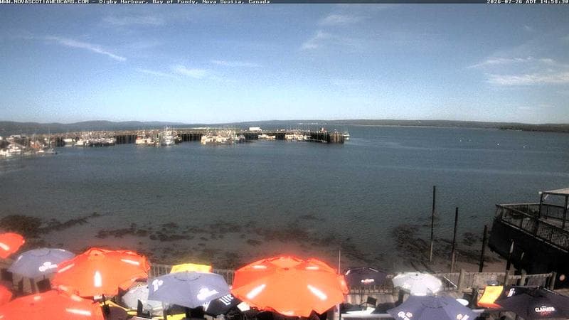 Digby Harbour