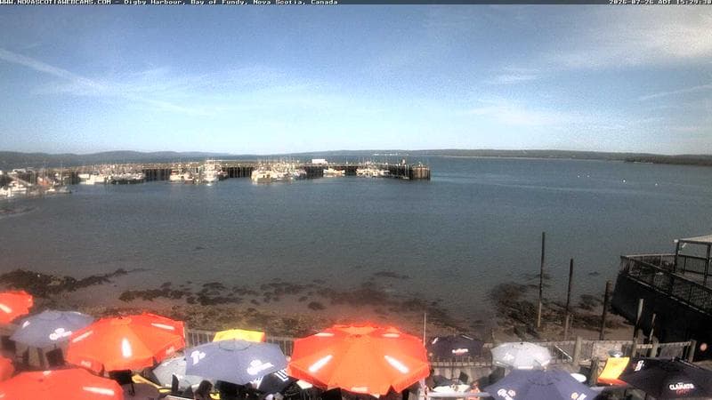 Digby Harbour
