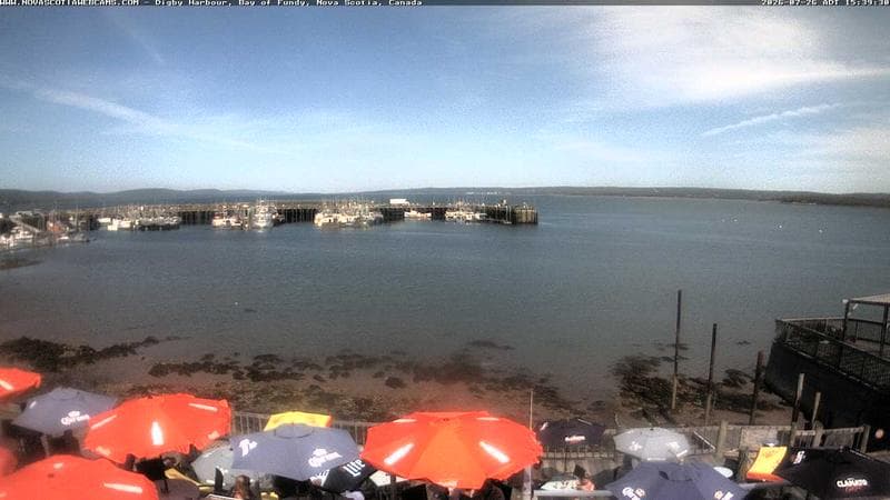 Digby Harbour