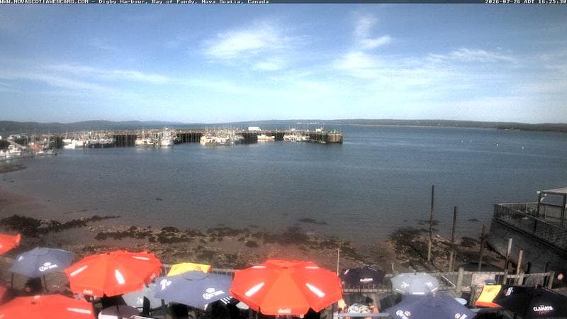 Digby Harbour
