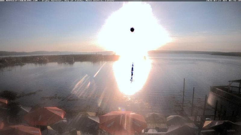 Digby Harbour