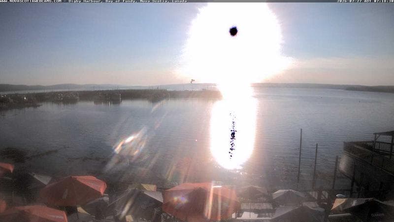 Digby Harbour