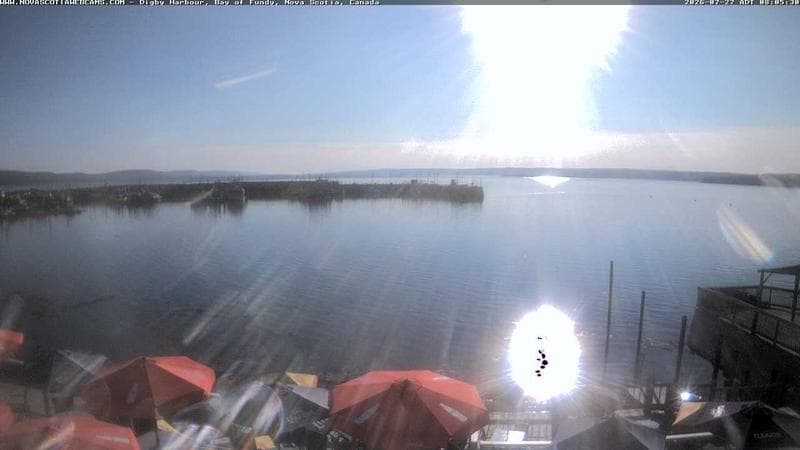 Digby Harbour