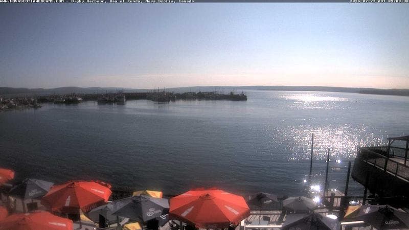 Digby Harbour