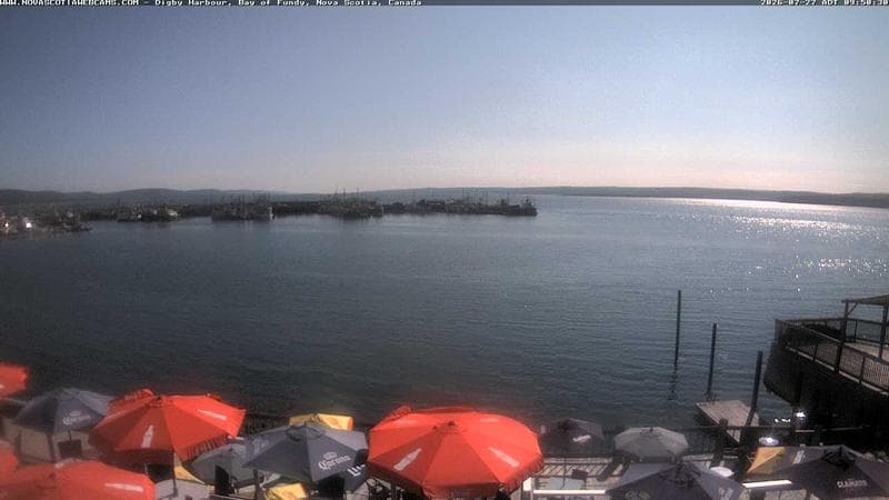 Digby Harbour