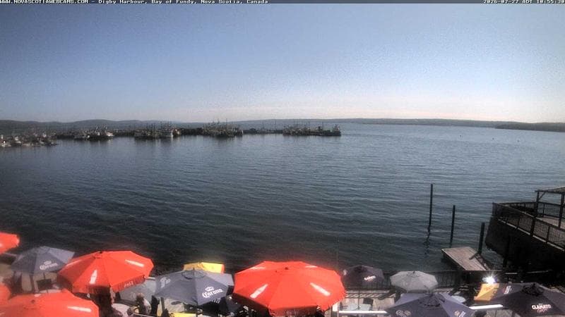 Digby Harbour
