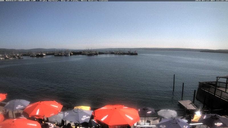 Digby Harbour