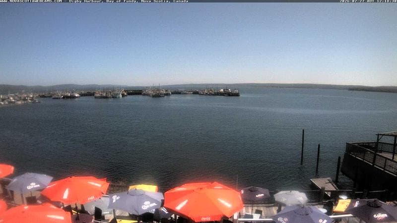 Digby Harbour