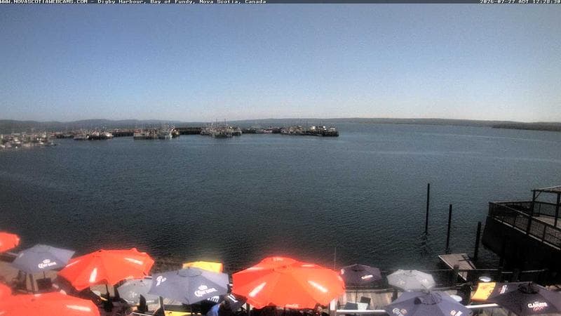 Digby Harbour