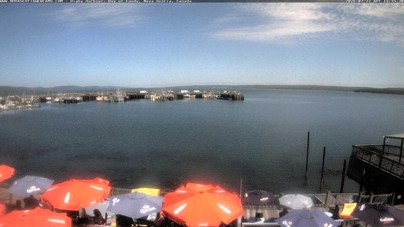 Digby Harbour