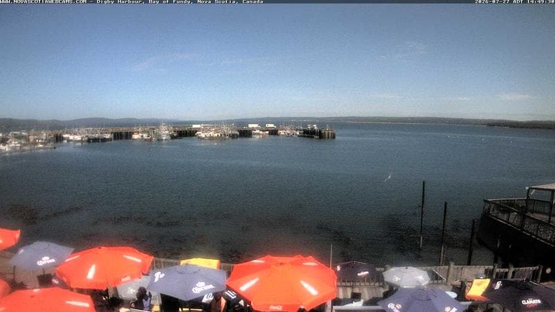 Digby Harbour