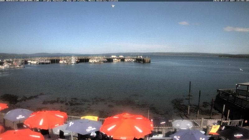 Digby Harbour