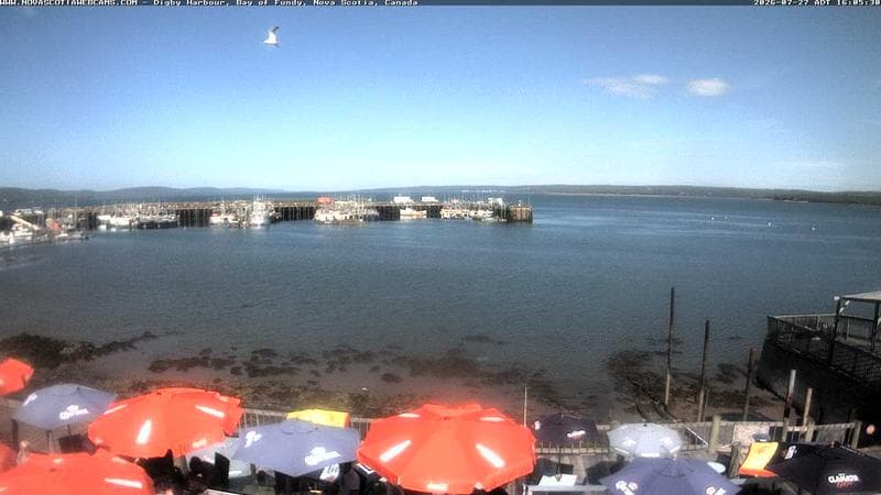 Digby Harbour