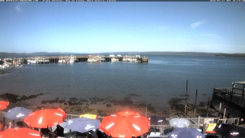 Digby Harbour
