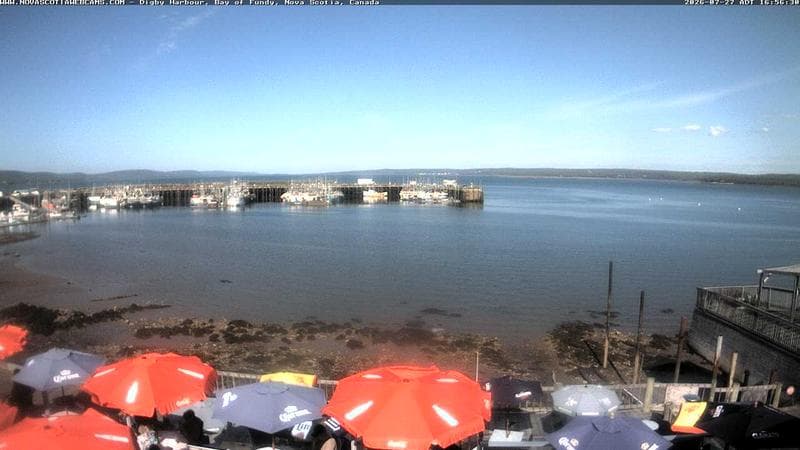 Digby Harbour