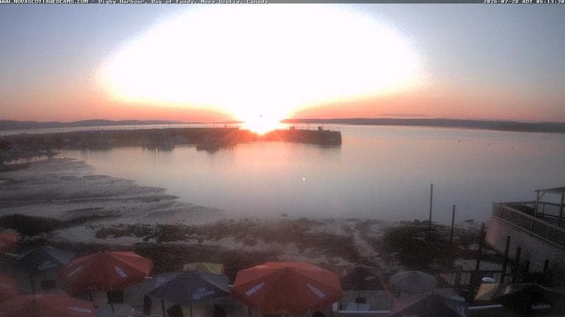 Digby Harbour