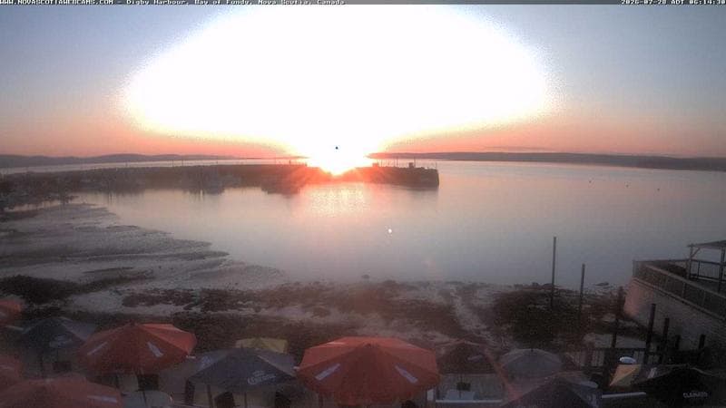 Digby Harbour