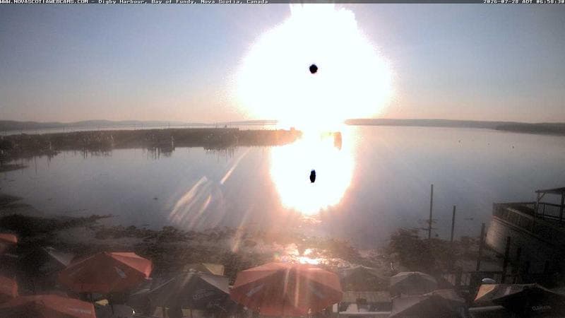 Digby Harbour
