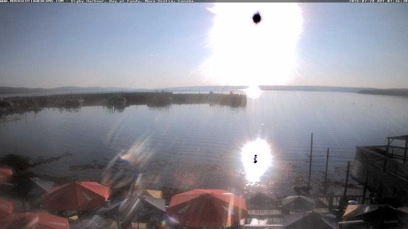 Digby Harbour
