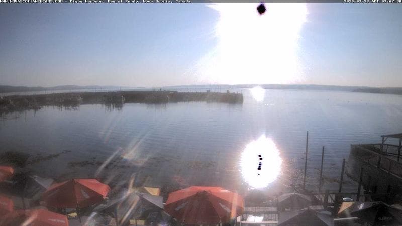 Digby Harbour