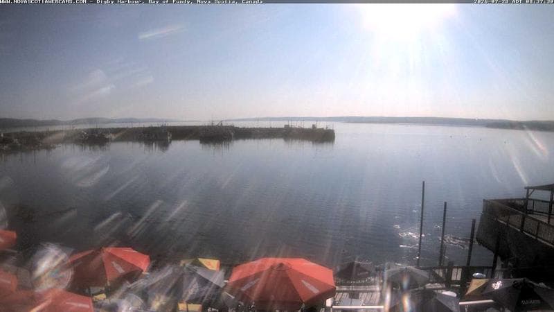 Digby Harbour