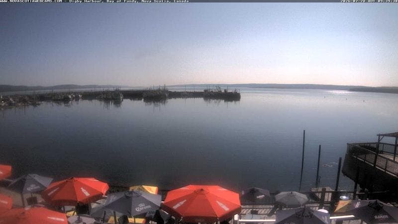 Digby Harbour