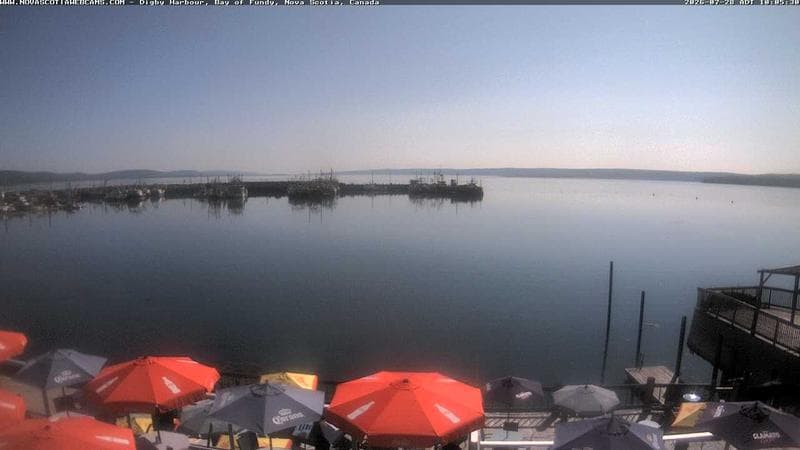 Digby Harbour