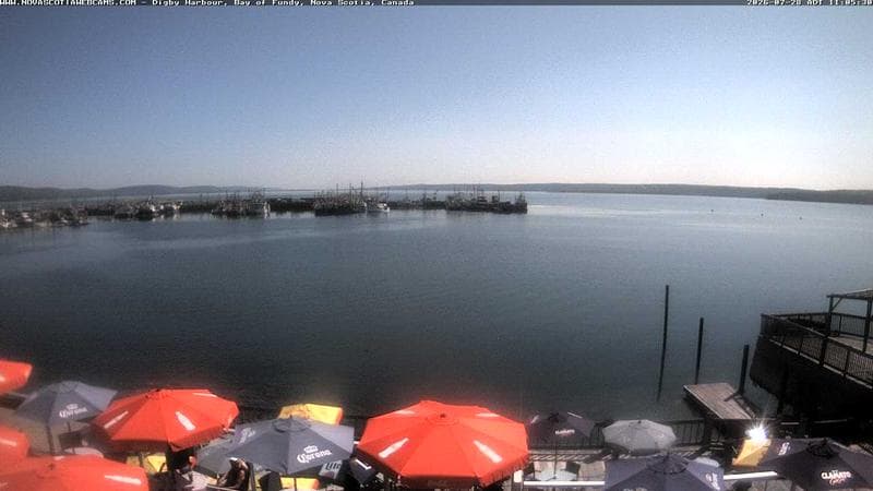 Digby Harbour
